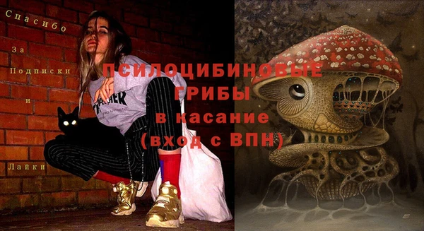 PSILOCYBIN Костерёво