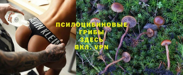 соль ск Корсаков