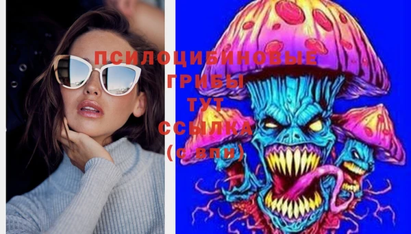 PSILOCYBIN Костерёво