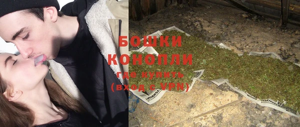 PSILOCYBIN Костерёво